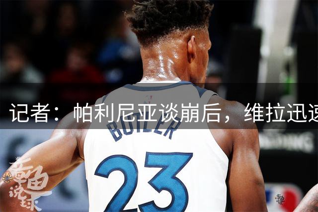 记者：帕利尼亚谈崩后，维拉迅速转向引进格雷茨卡
